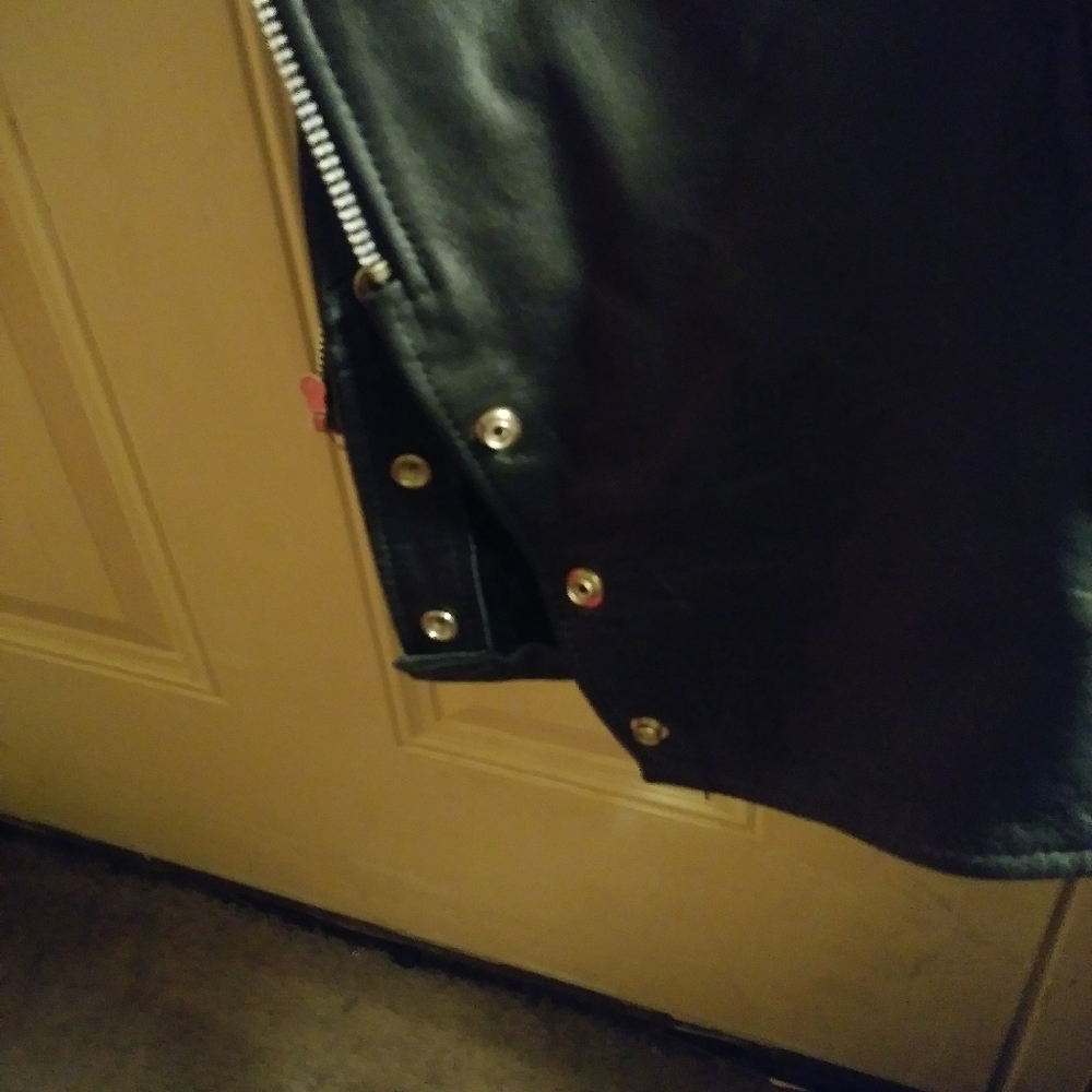 Leather Chaps - Picture 6 of 7